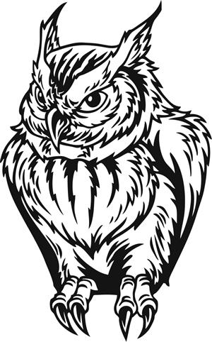 Owl 